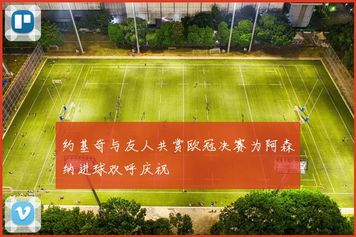 约基奇与友人共赏欧冠决赛为阿森纳进球欢呼庆祝