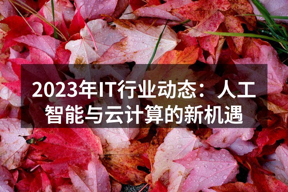 2023年IT行业动态分析