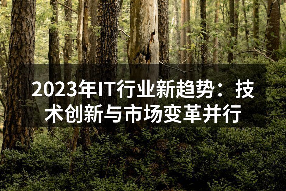 2023年IT行业发展趋势分析