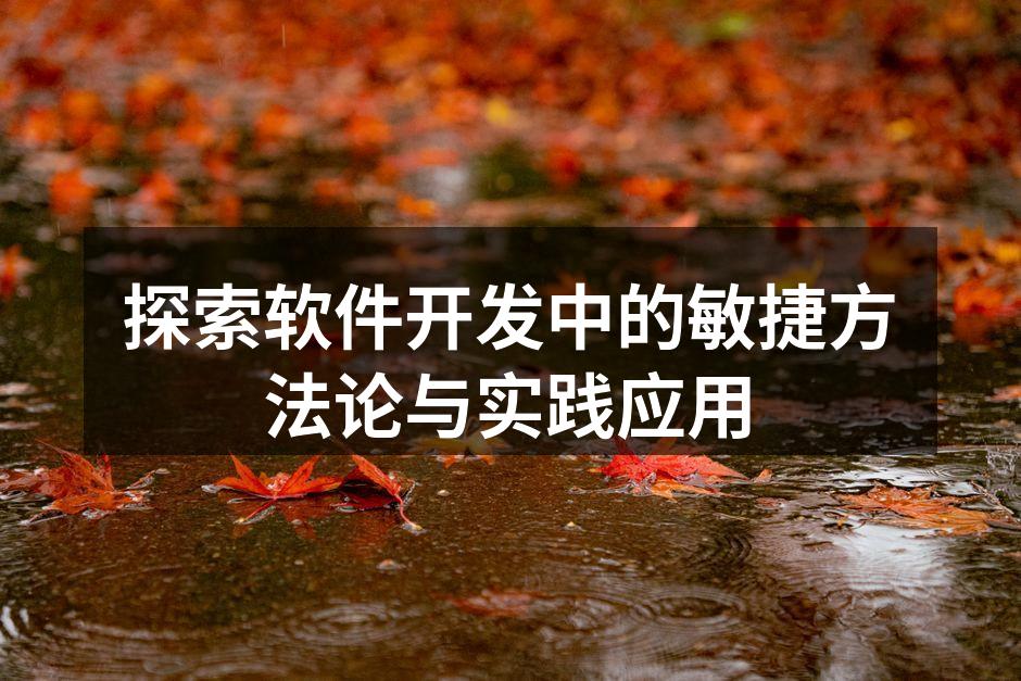 敏捷开发团队协作